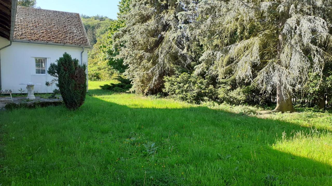 Resort Chribska Apartmany Adri 外观 照片